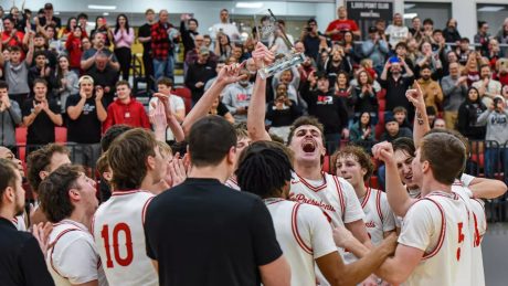 article image - crop